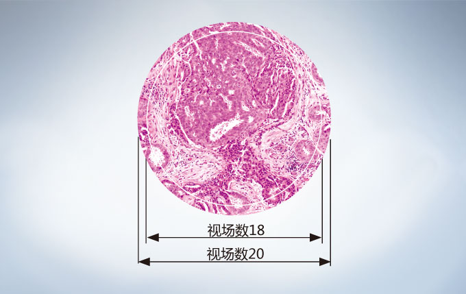 1561444567276256.jpg
